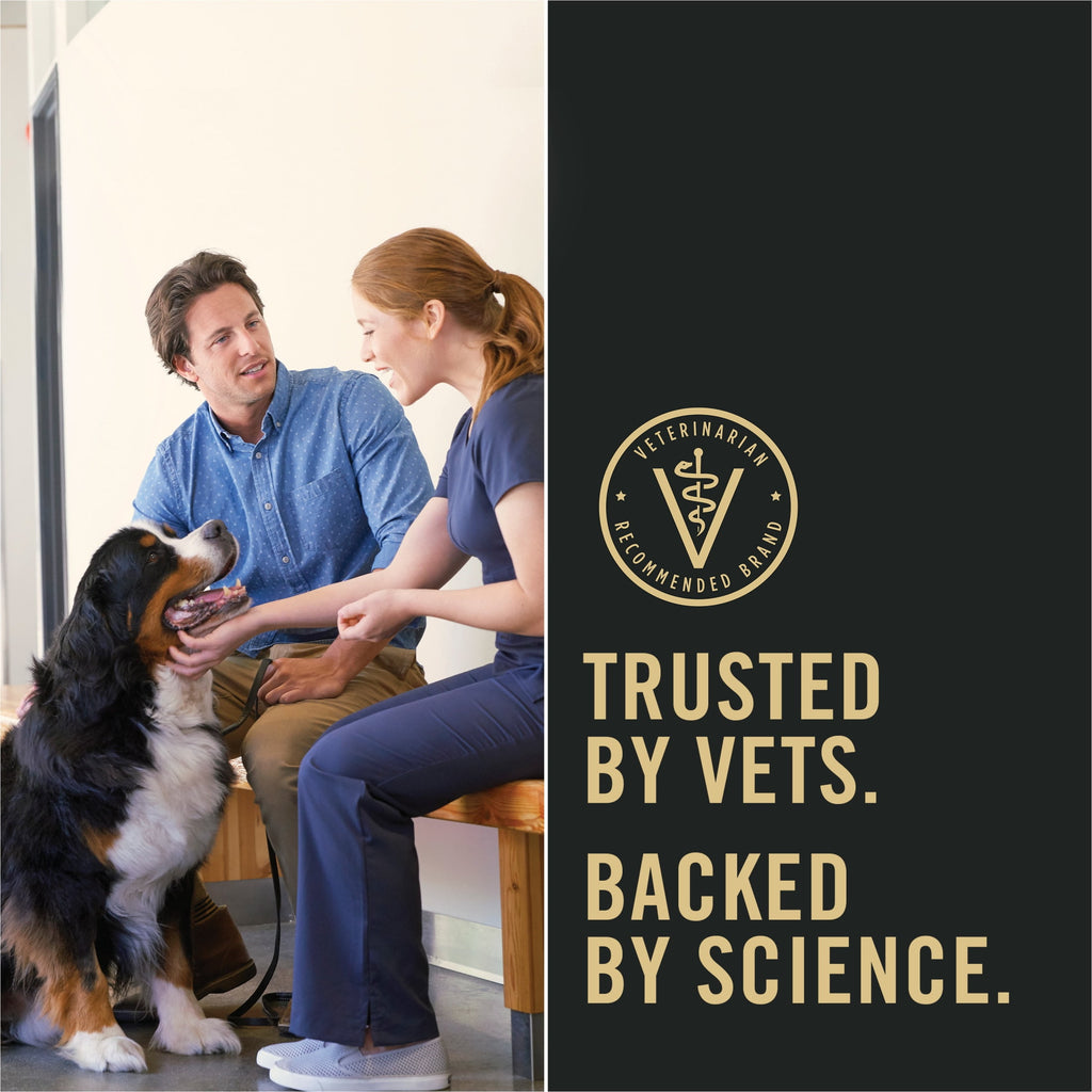 Purina Pro Plan Complete Essentials Lamb and Vegetables Entree in Wet Dog Food Gravy, 13 oz. Cans (12 Pack)