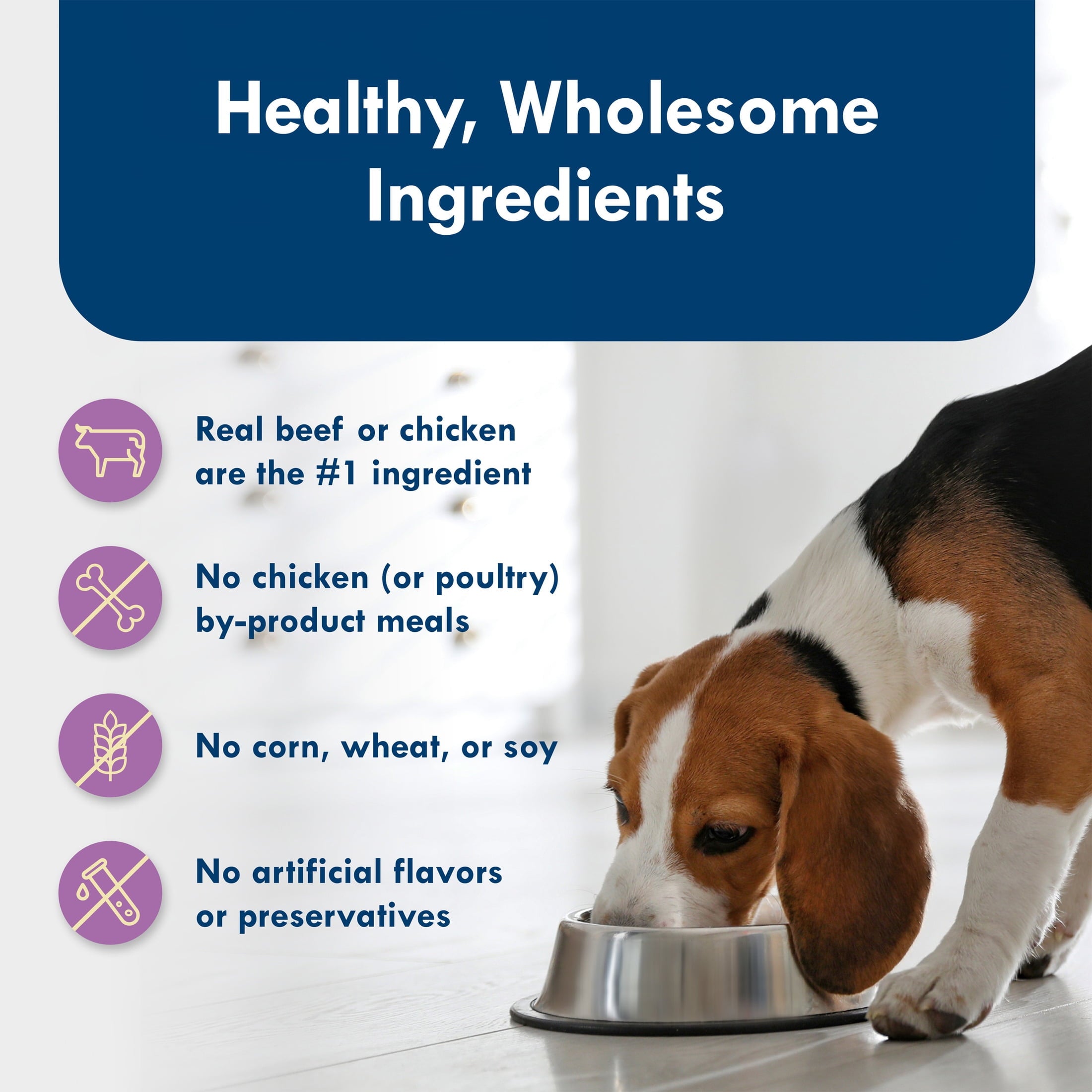 (3 pack) Blue Buffalo Delights Small Breed Natural Wet Dog Food Variety Pack, 3.5-oz. Cups, 12 Count