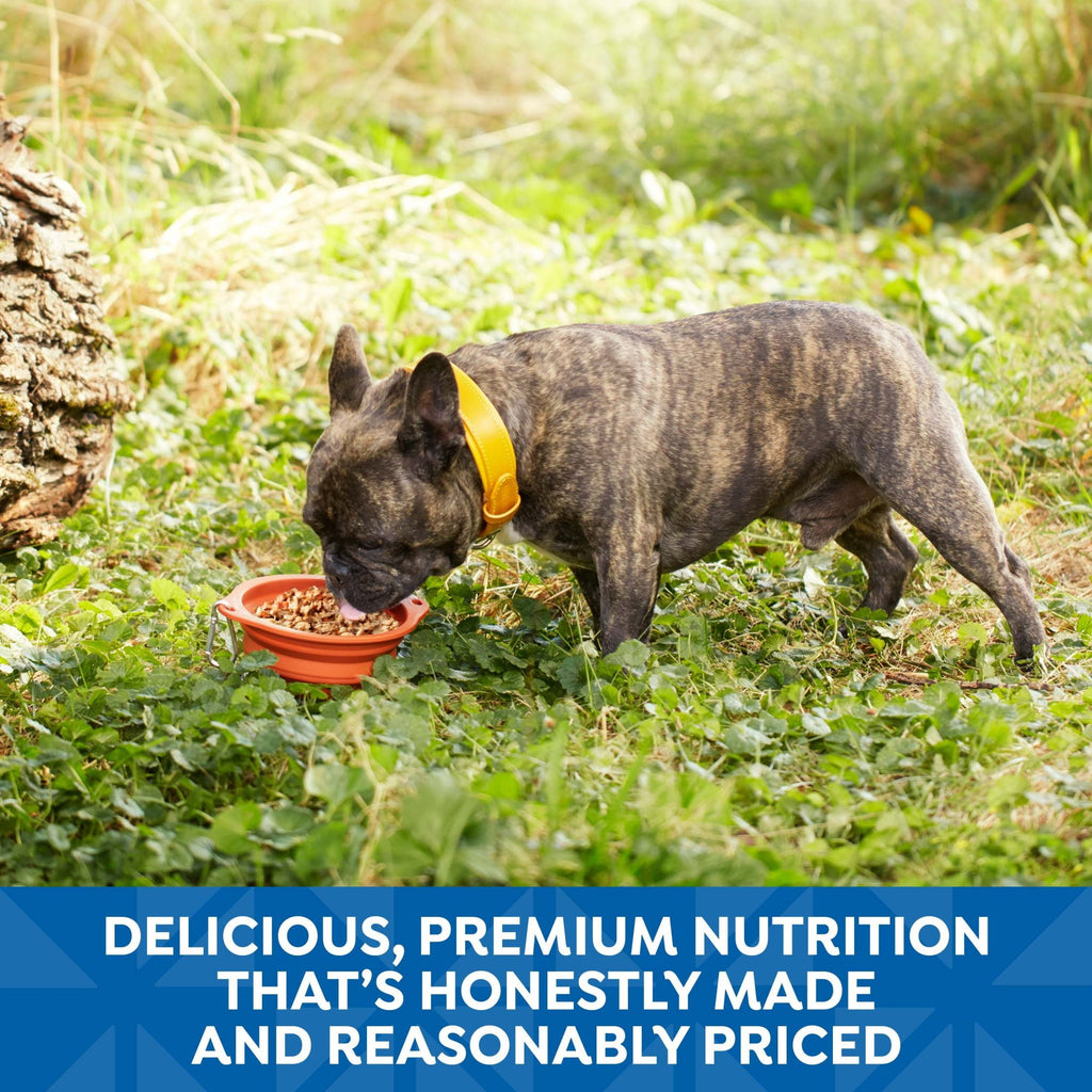 Nature’s Recipe Chicken, Salmon and Turkey Recipes Variety Pack Wet Dog Food, 2.75 oz. Cup, 12 Count