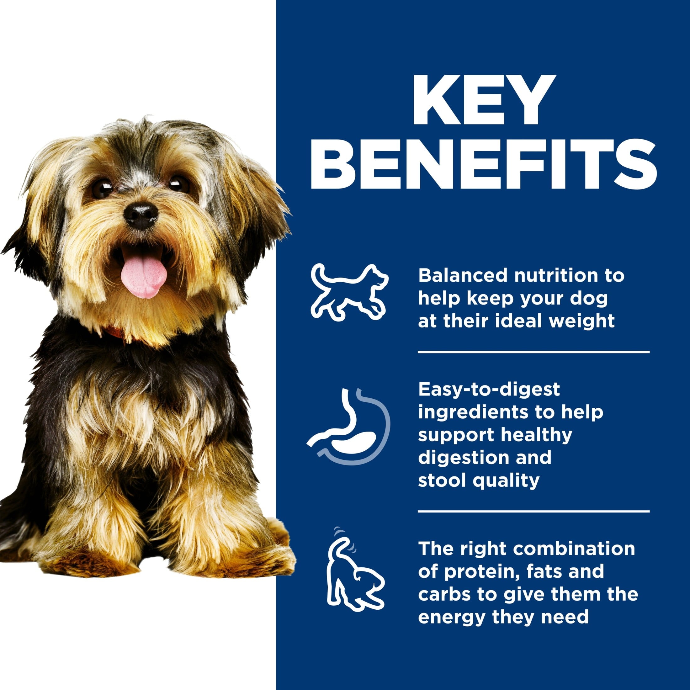 Hill's Science Diet Small & Mini Beef & Barley Wet Dog Food, 5.8oz Can 24pk