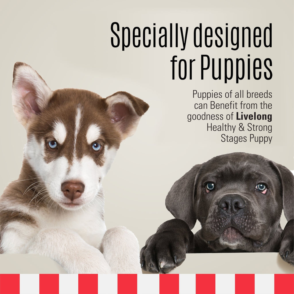 Livelong Healthy & Strong: 12 Pack: Stages Puppy - Chicken Meat, 12.5oz Cans, Wet Dog Food, High Protein, All Natural, No Preservatives,