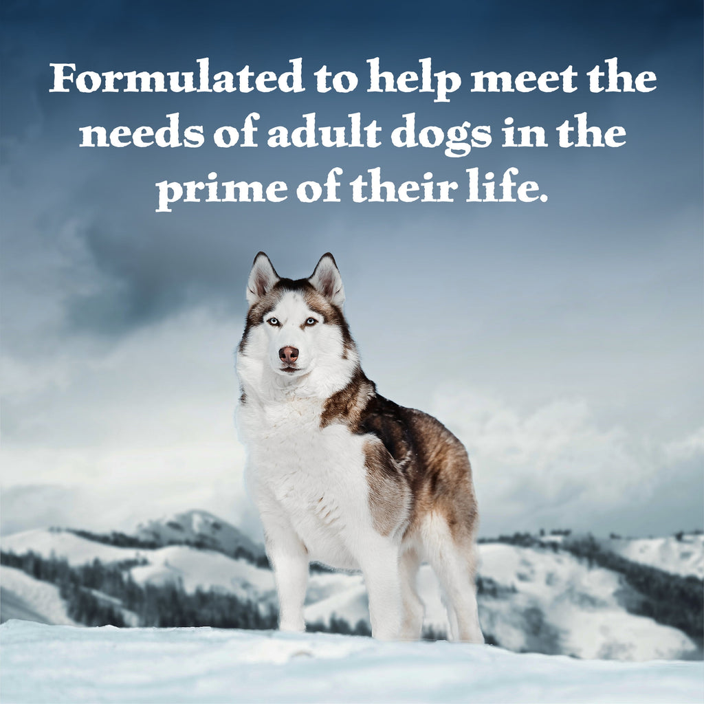 (6 pack) Blue Buffalo Wilderness Adult Wet Dog Food, Turkey & Chicken Grill, 12.5-oz. Can