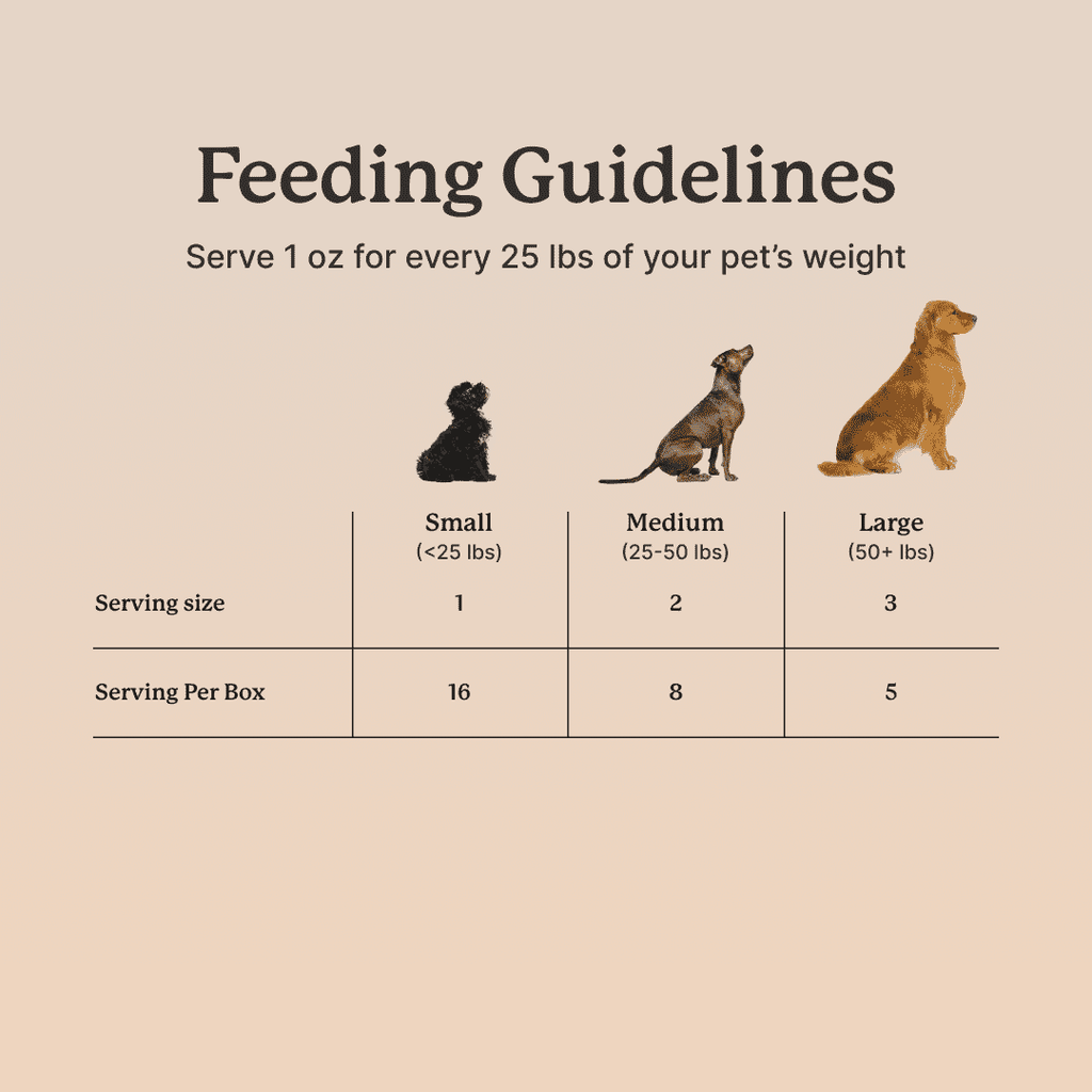 DogSauce Bone Broth Superfood Meal Topper, Chicken Flavor, 8 oz