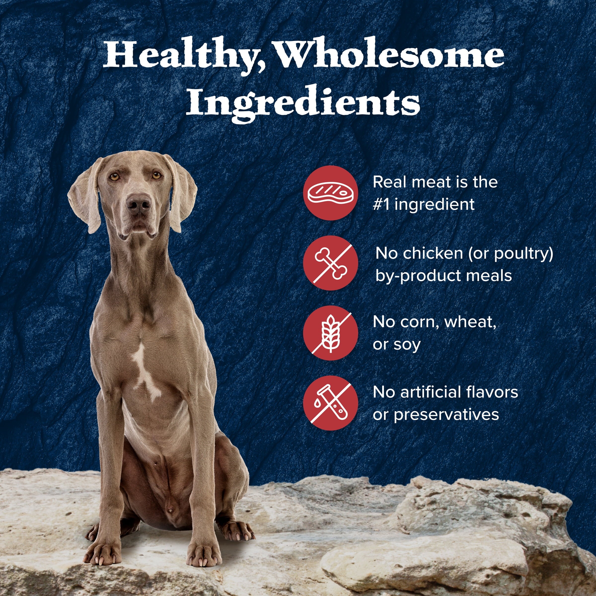 Blue Buffalo Wilderness Rocky Mountain Recipe High Protein Red Meat Wet Dog Food for Senior Dogs, Grain Free, 12.5 oz. Can