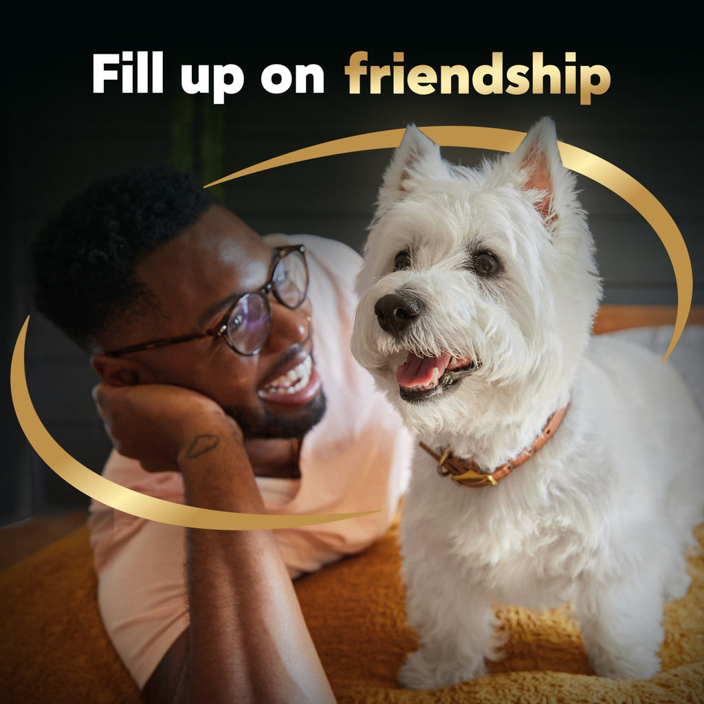 Cesar Loaf And Topper In Sauce Wet Dog Food Variety Pack, 3.5 Oz Trays (24 Pack)