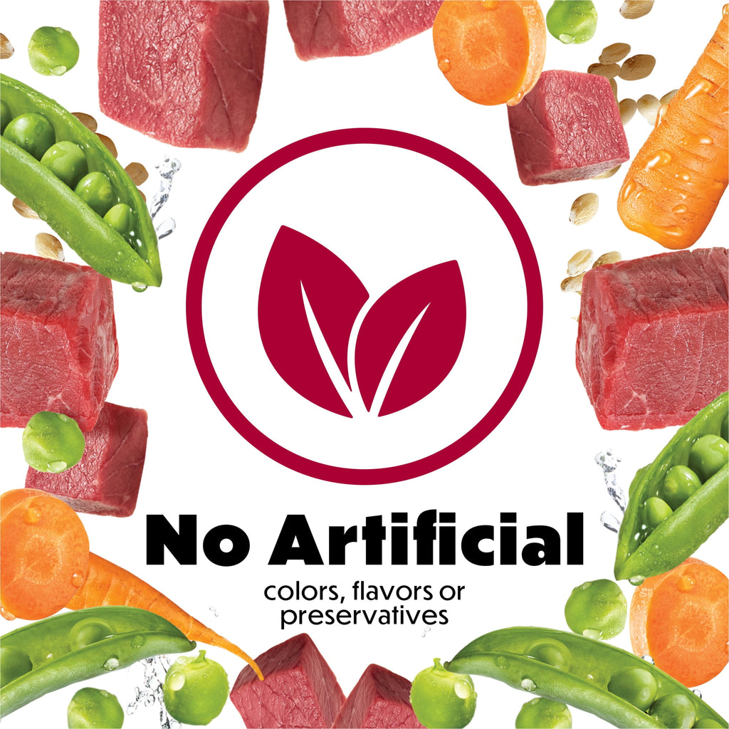 Purina Beneful Dog Food Freshly Prepared Meals, Dog Food Fresh, High Protein Wet Dog Food, Beef Stew