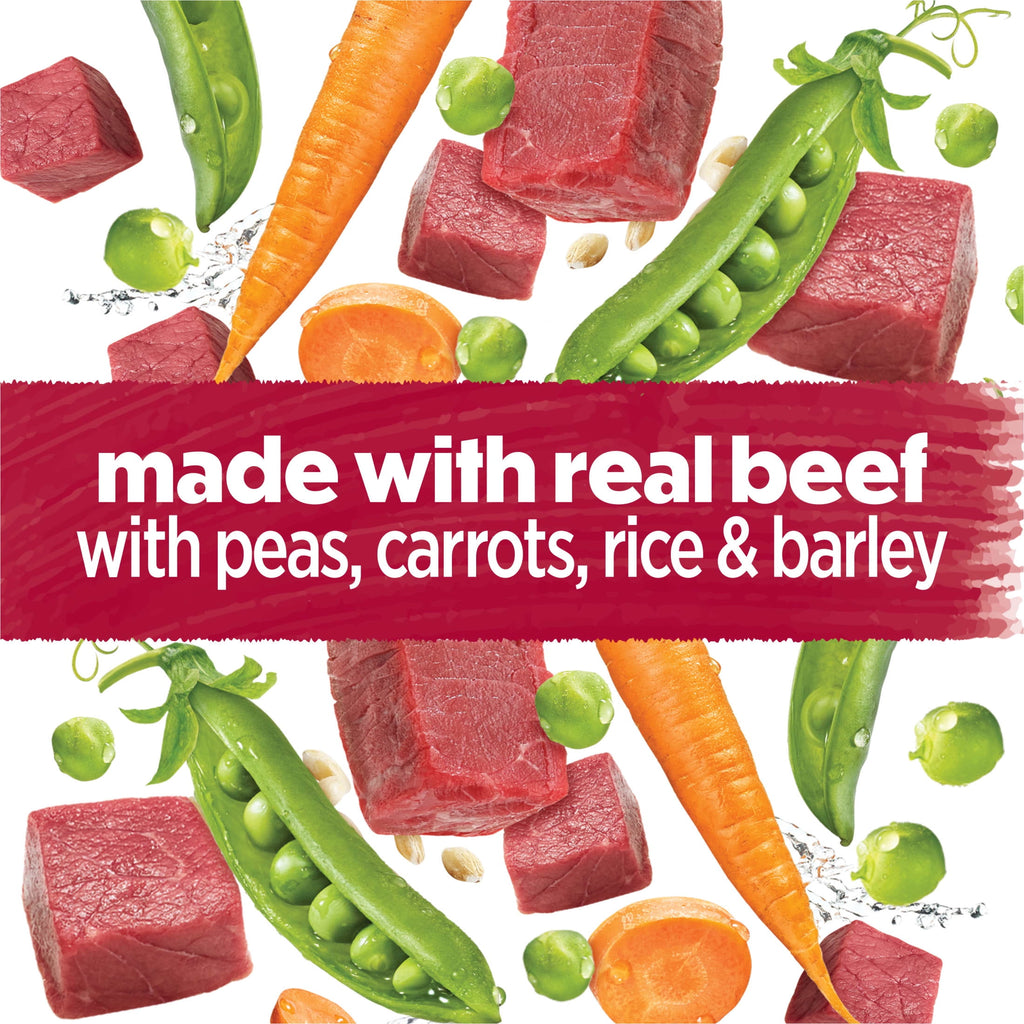 Purina Beneful Dog Food Freshly Prepared Meals, Dog Food Fresh, High Protein Wet Dog Food, Beef Stew