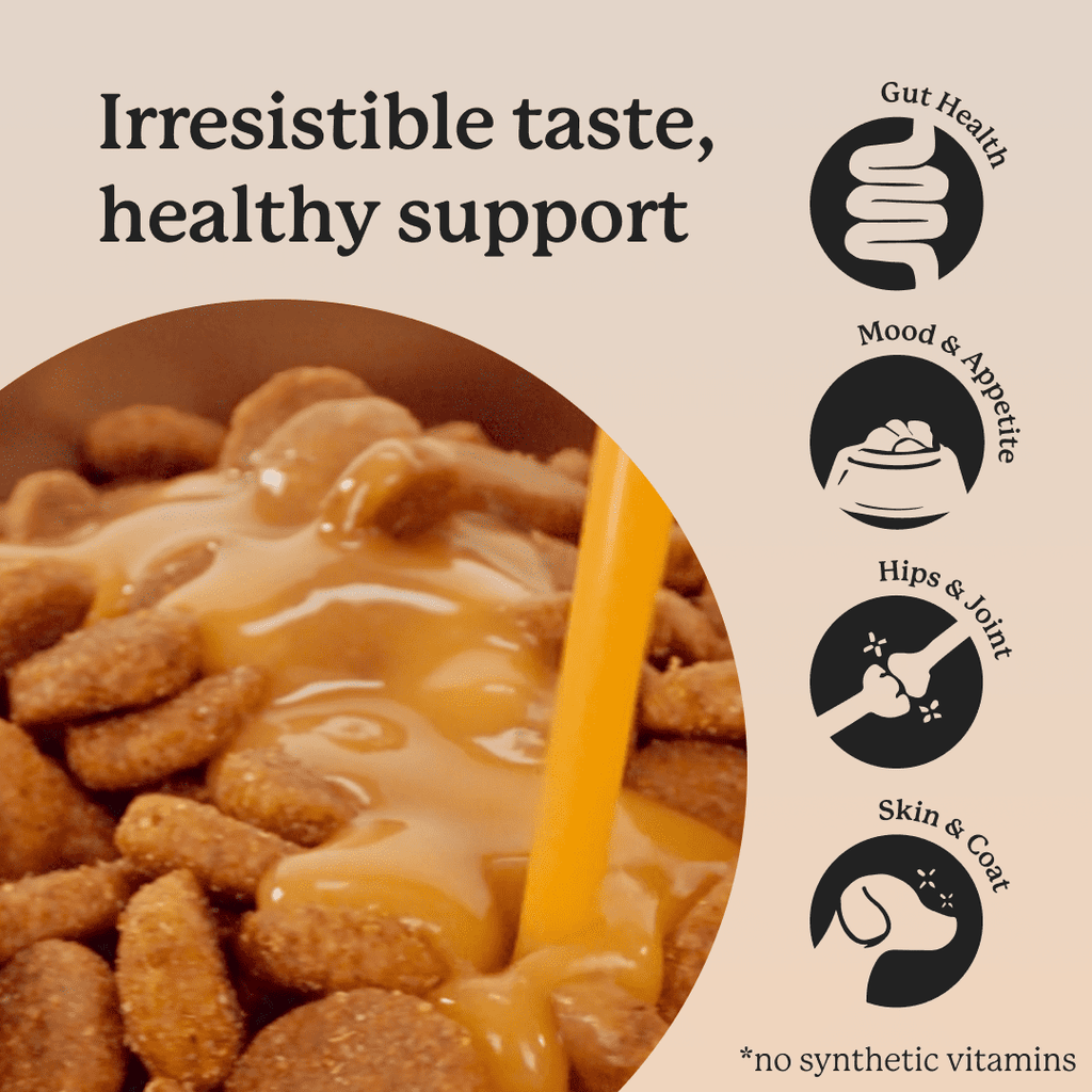 DogSauce Bone Broth Superfood Meal Topper, Chicken Flavor, 8 oz