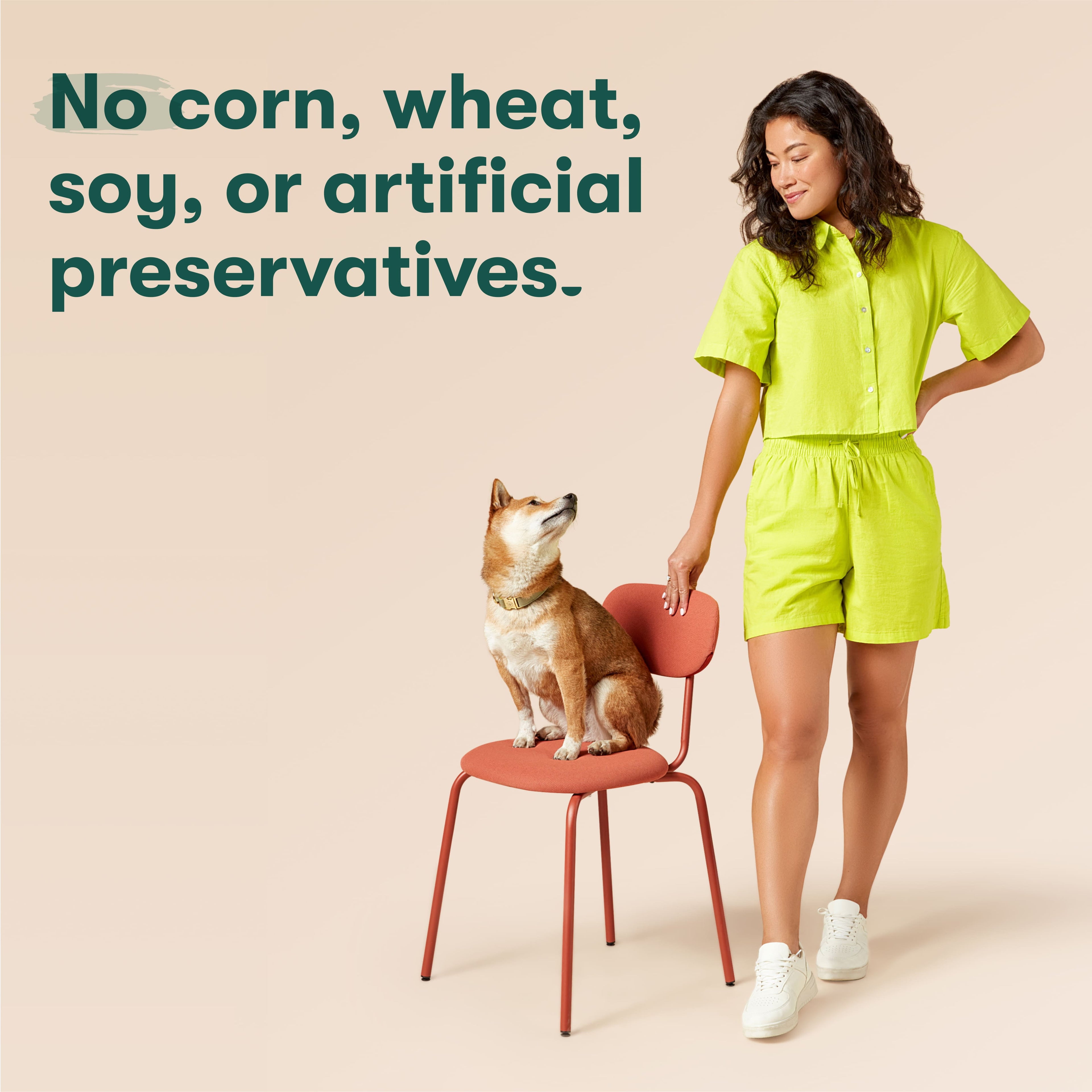 Jinx Bone Broth Stew Grain-Free Beef & Vegetables Wet Dog Food, 13 oz Can