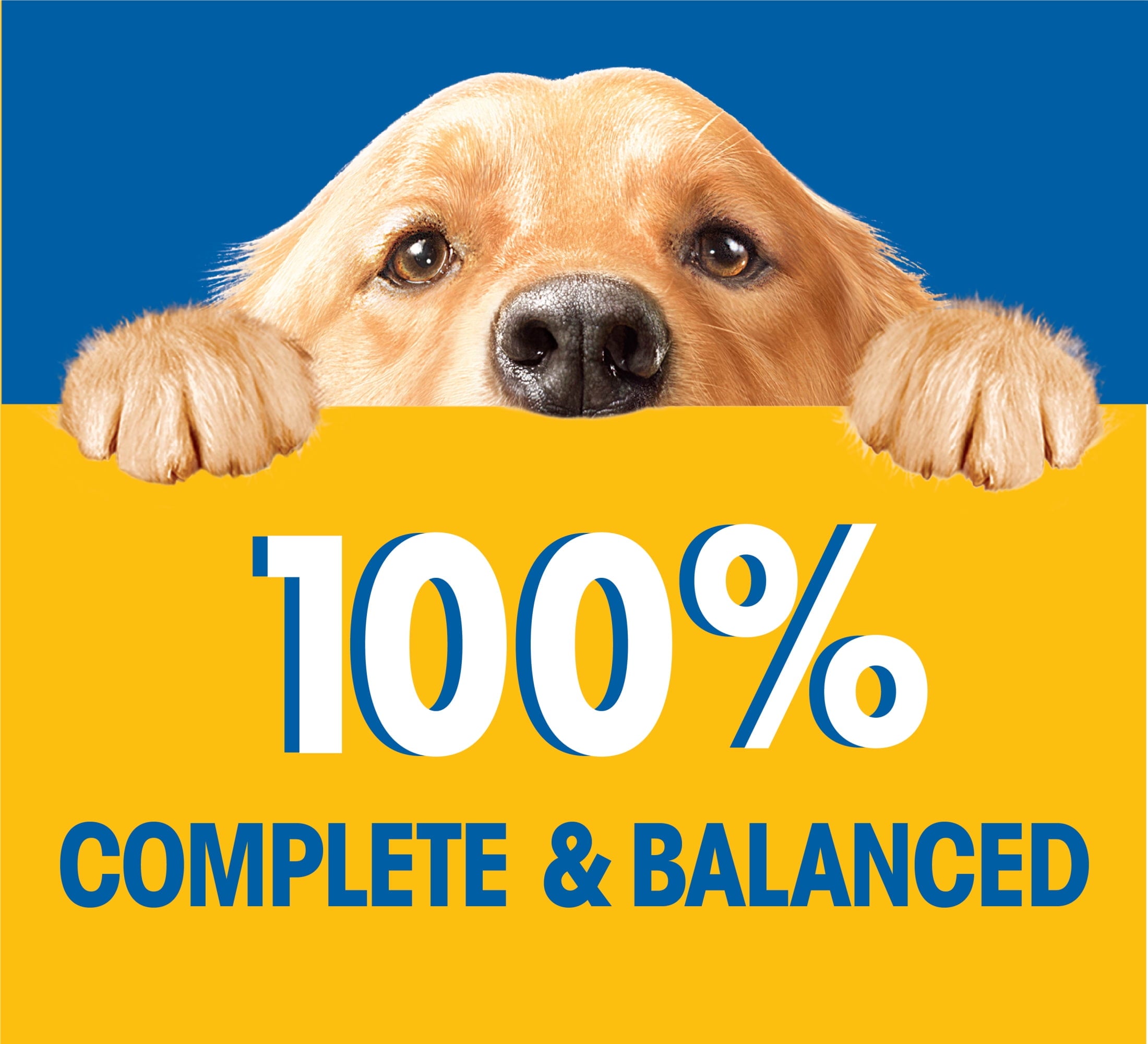 Pedigree Chopped Ground Dinner Beef, Bacon, And Cheeses Wet Dog Food, 3.5 Oz Pouch