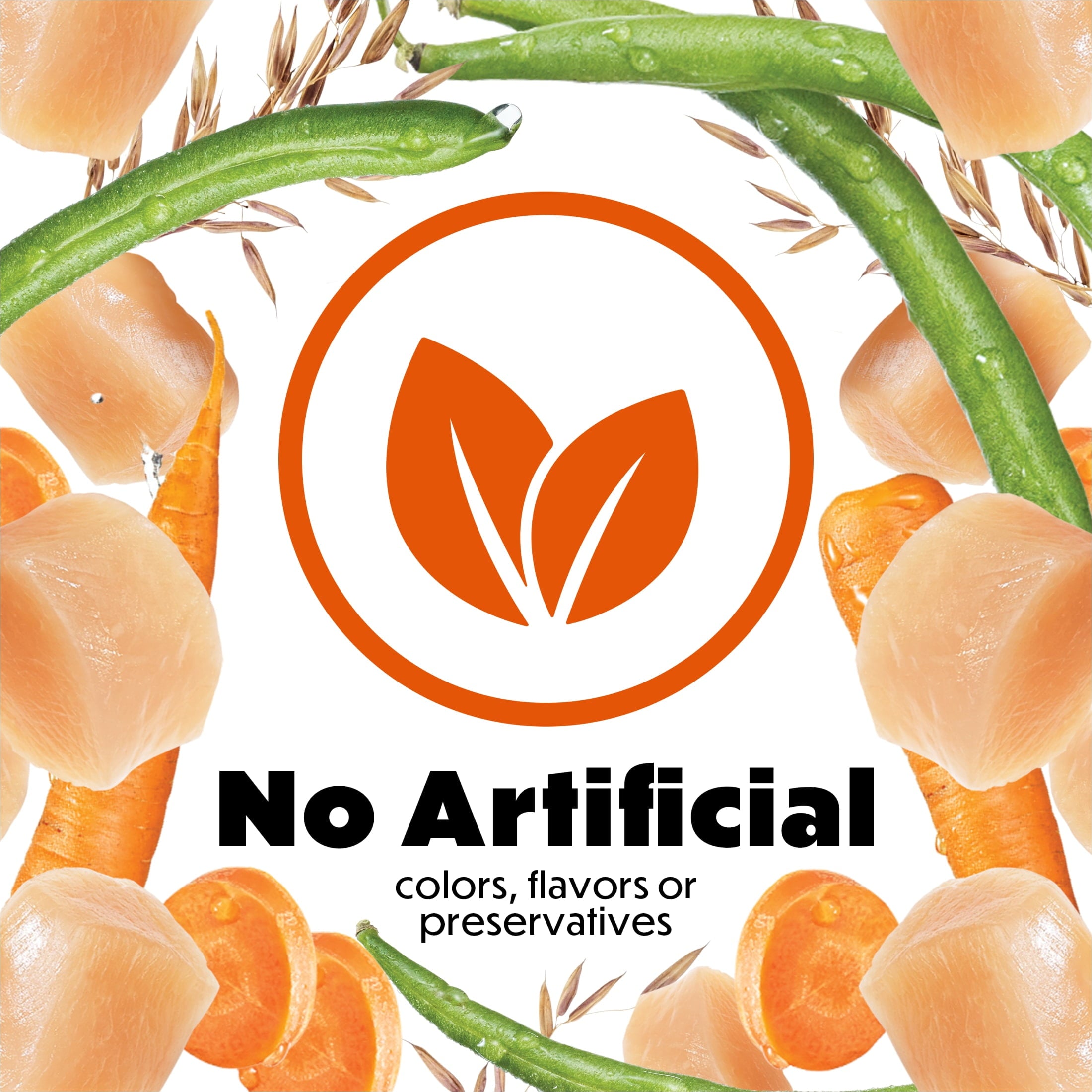 Purina Beneful Dog Food Freshly Prepared Meals Simmered Chicken Medley with Carrots Green Beans and Wild Rice