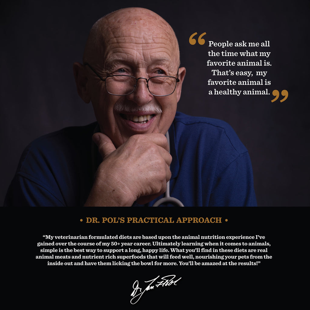 (6 pack) Dr. Pol Limited Ingredient Surf-N-Turf Canned Dog Food, 12.5oz.