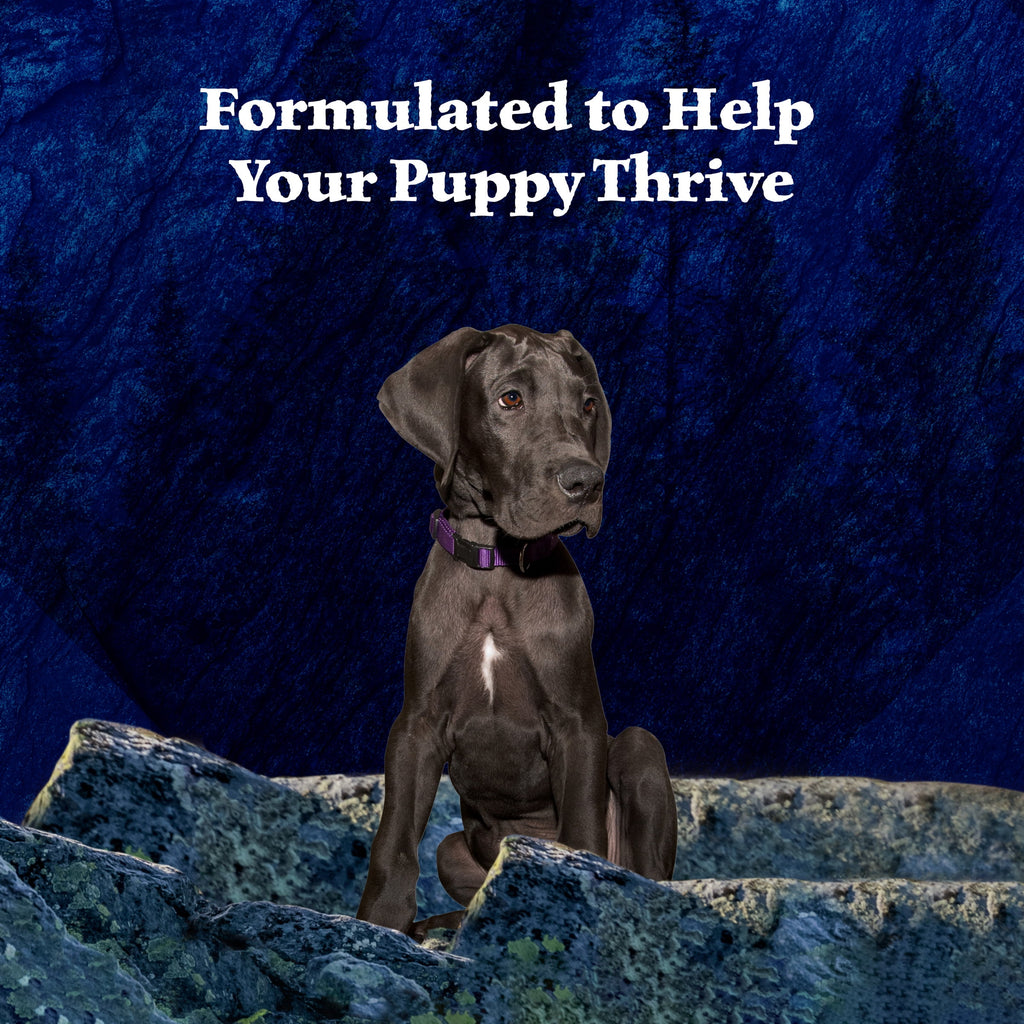 Blue Buffalo Wilderness Wet Food for Puppies, Turkey & Chicken, 12.5-oz. Can