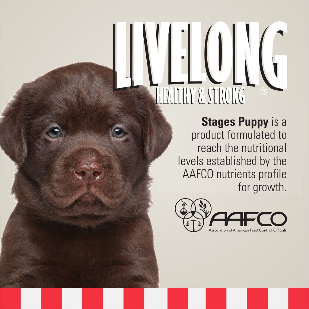 Livelong Healthy & Strong: 12 Pack: Stages Puppy - Chicken Meat, 12.5oz Cans, Wet Dog Food, High Protein, All Natural, No Preservatives,