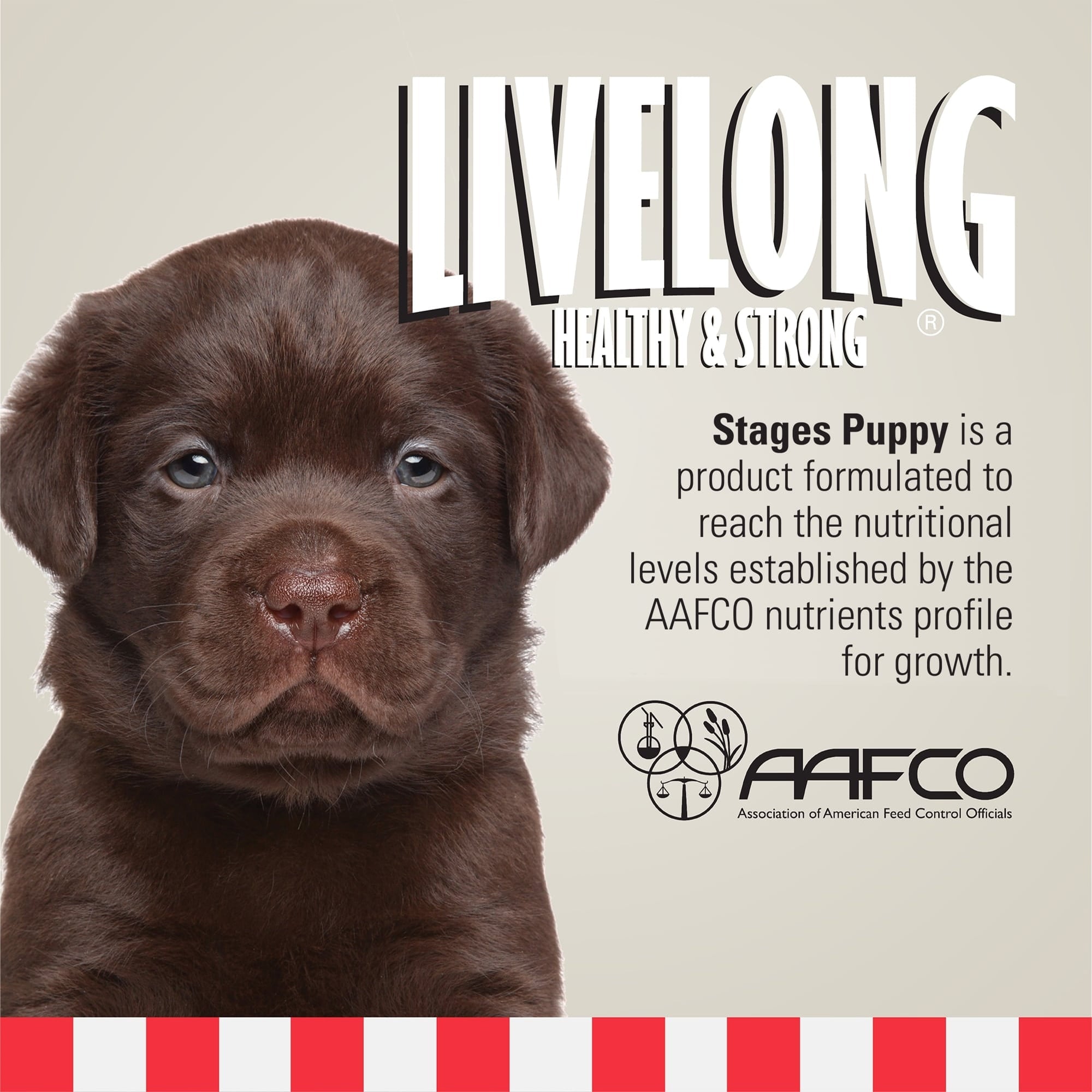 Livelong Healthy & Strong: 12 Pack: Stages Puppy - Chicken Meat, 12.5oz Cans, Wet Dog Food, High Protein, All Natural, No Preservatives,
