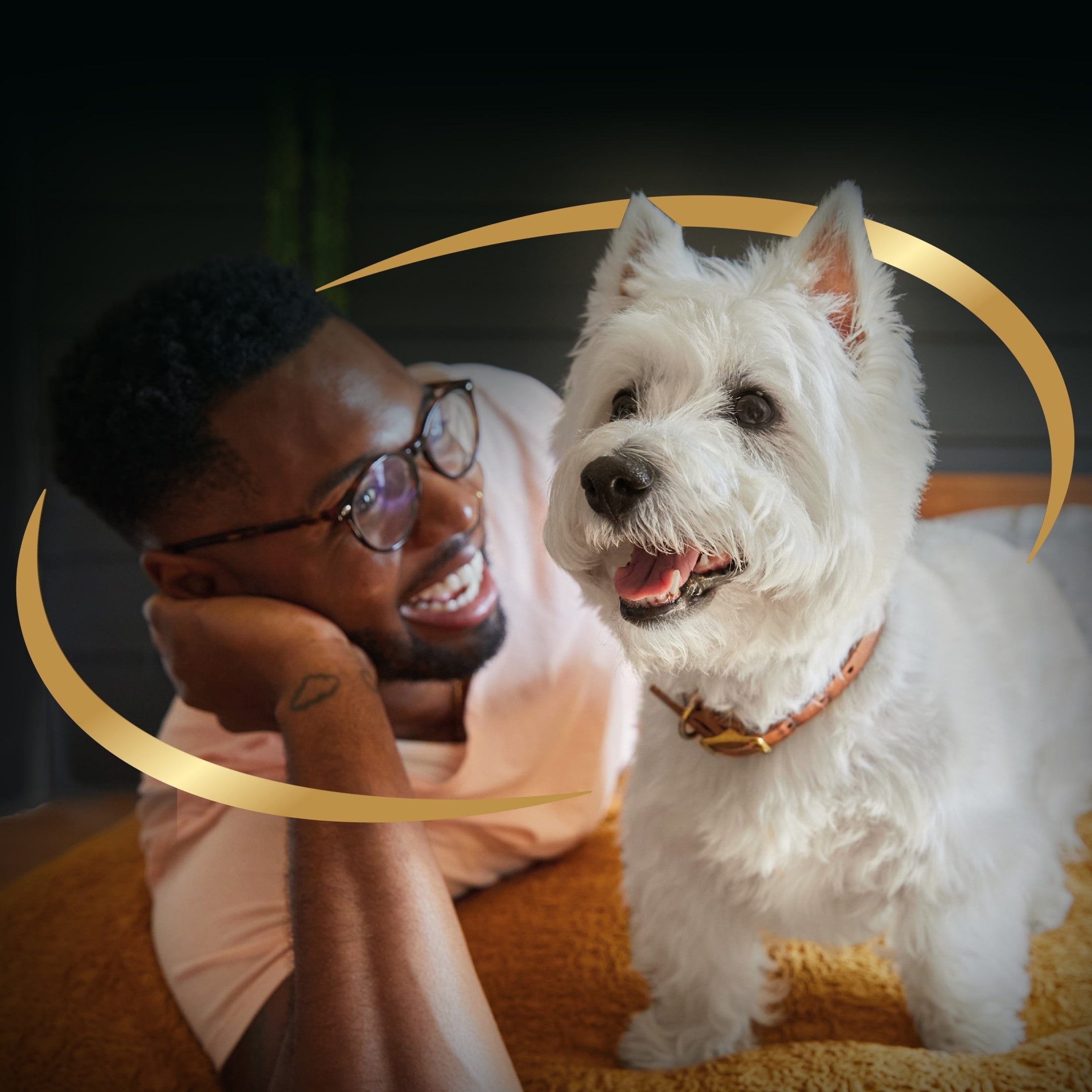 Casar Classic Loaf in Sauce Filet Mignon Wet Dog Food Adult, 3.5 oz. Easy Peel Tray