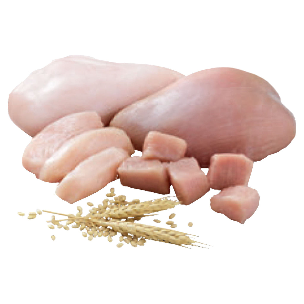 Pure Balance Pro+ Turkey & Chicken Recipe Wet Dog Food for Performance, 12.5 oz Can