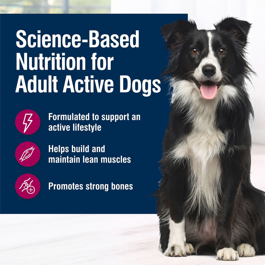 (3 pack) Blue Buffalo True Solutions Active Dog Wet Dog Food, 12.5-oz. Can