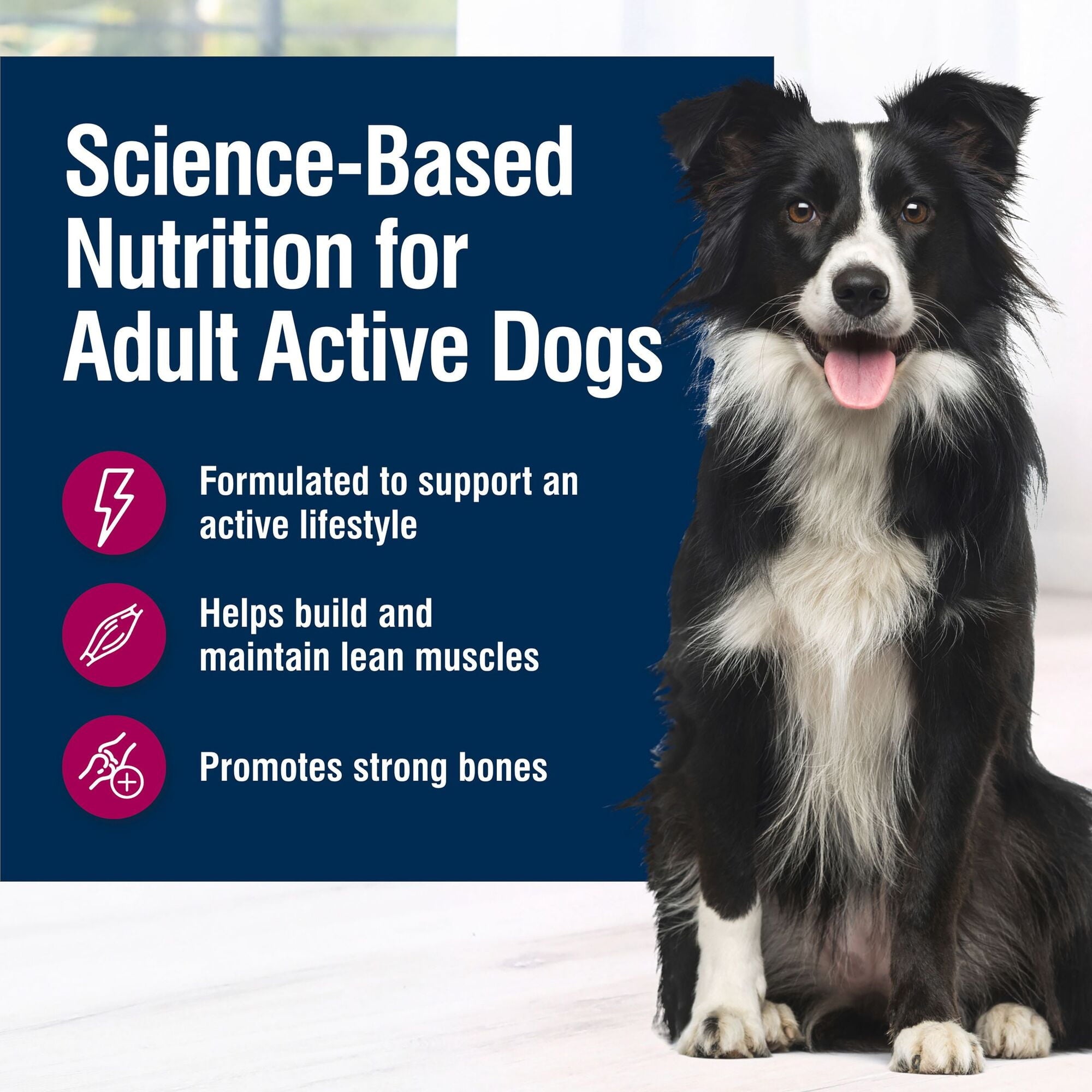 (3 pack) Blue Buffalo True Solutions Active Dog Wet Dog Food, 12.5-oz. Can