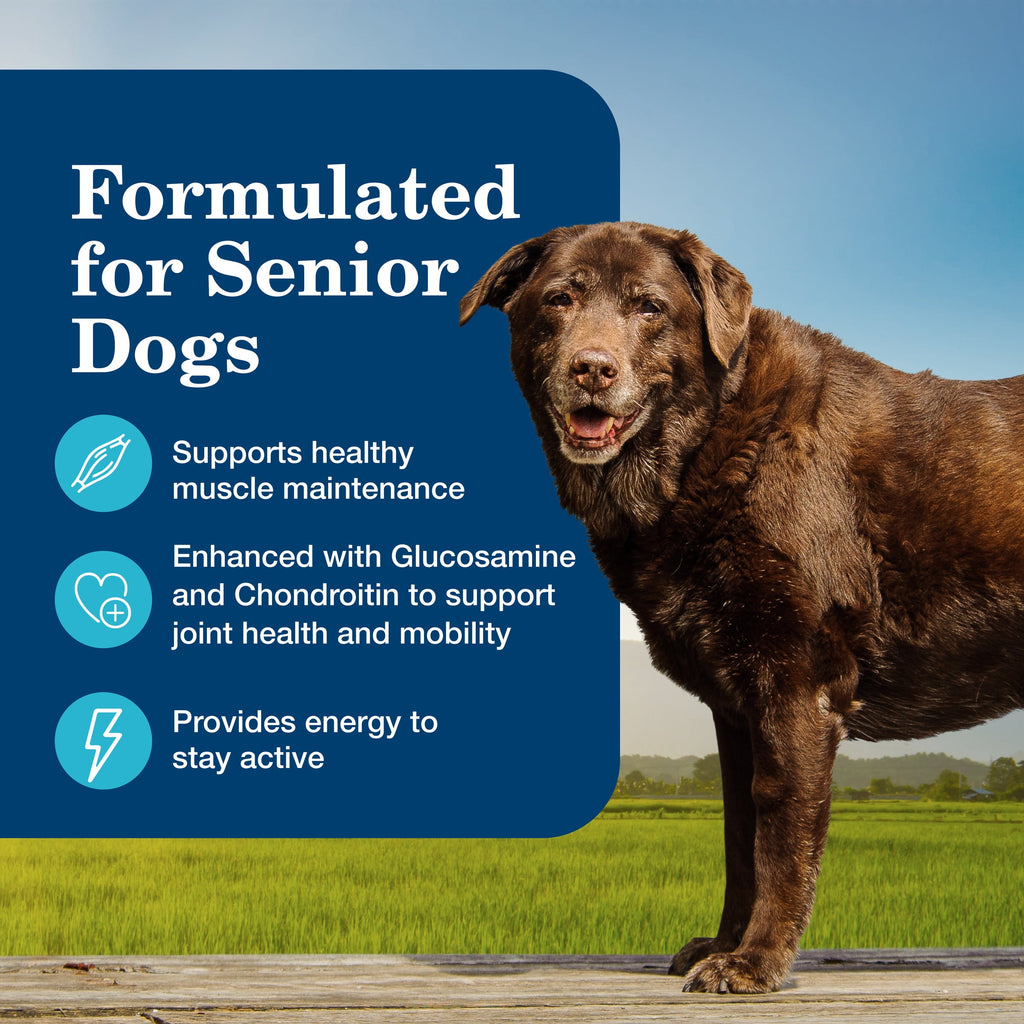 (3 pack) Blue Buffalo Homestyle Recipe Senior Wet Dog Food, Chicken Dinner, 12.5-oz. Can