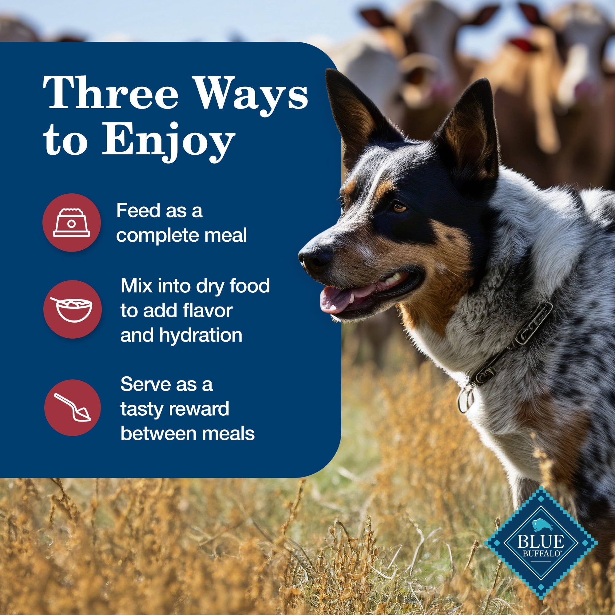(3 pack) Blue Buffalo Homestyle Recipe Adult Wet Dog Food, Beef Dinner, 12.5-oz. Can