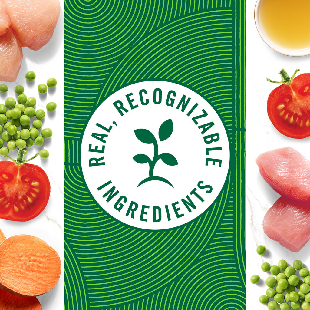 Nutro Natural Choice Cuts In Gravy Chicken Turkey Variety Pack Wet Dog Food, 3.5 Oz Tray Pack Of 12