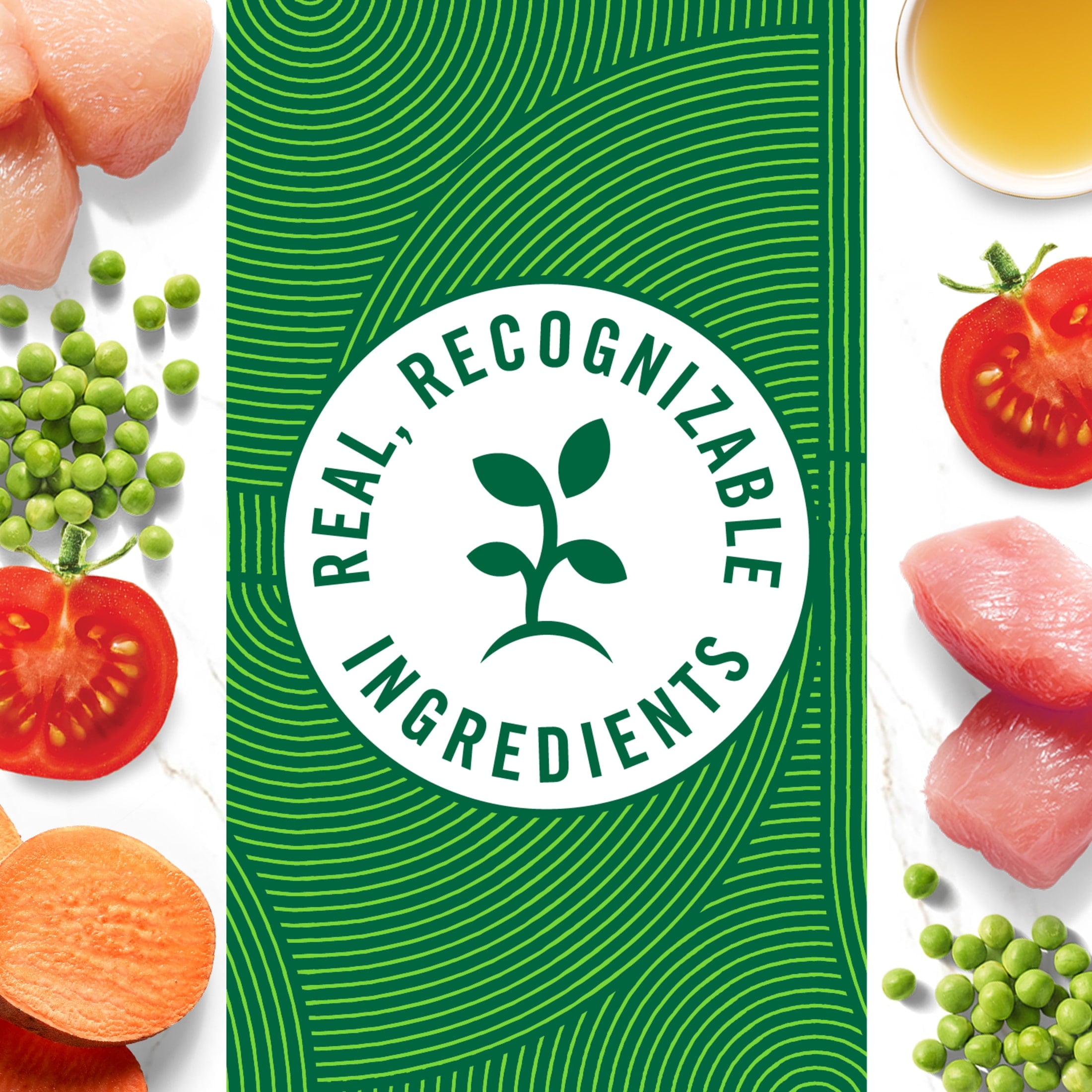 Nutro Natural Choice Cuts In Gravy Chicken Turkey Variety Pack Wet Dog Food, 3.5 Oz Tray Pack Of 12