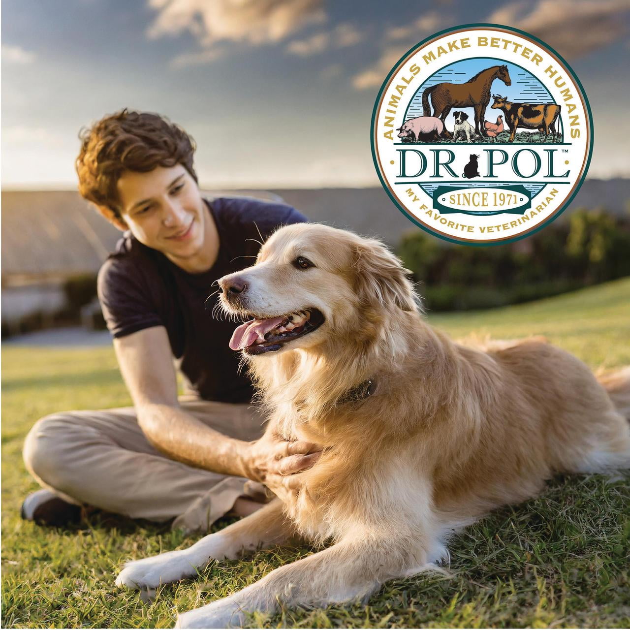 (6 pack) Dr. Pol Limited Ingredient Surf-N-Turf Canned Dog Food, 12.5oz.