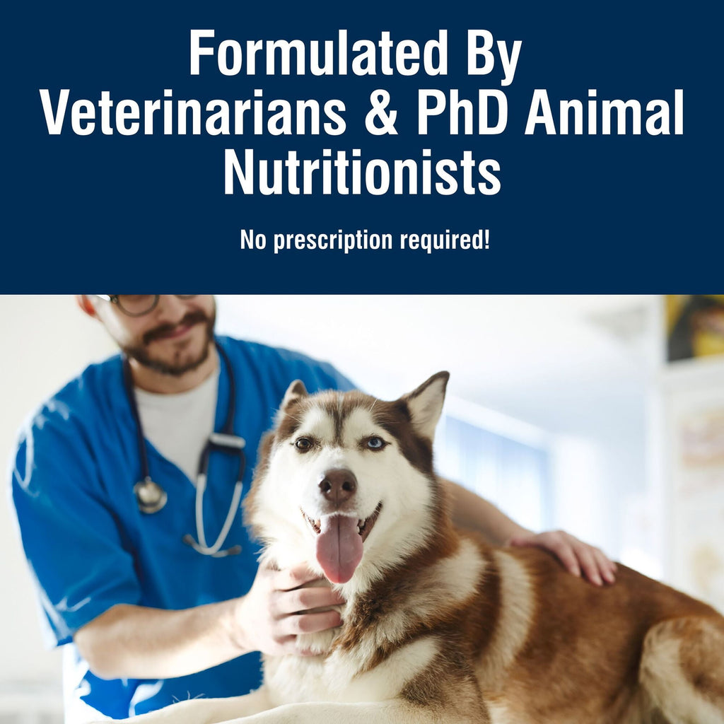 (3 pack) Blue Buffalo True Solutions Active Dog Wet Dog Food, 12.5-oz. Can