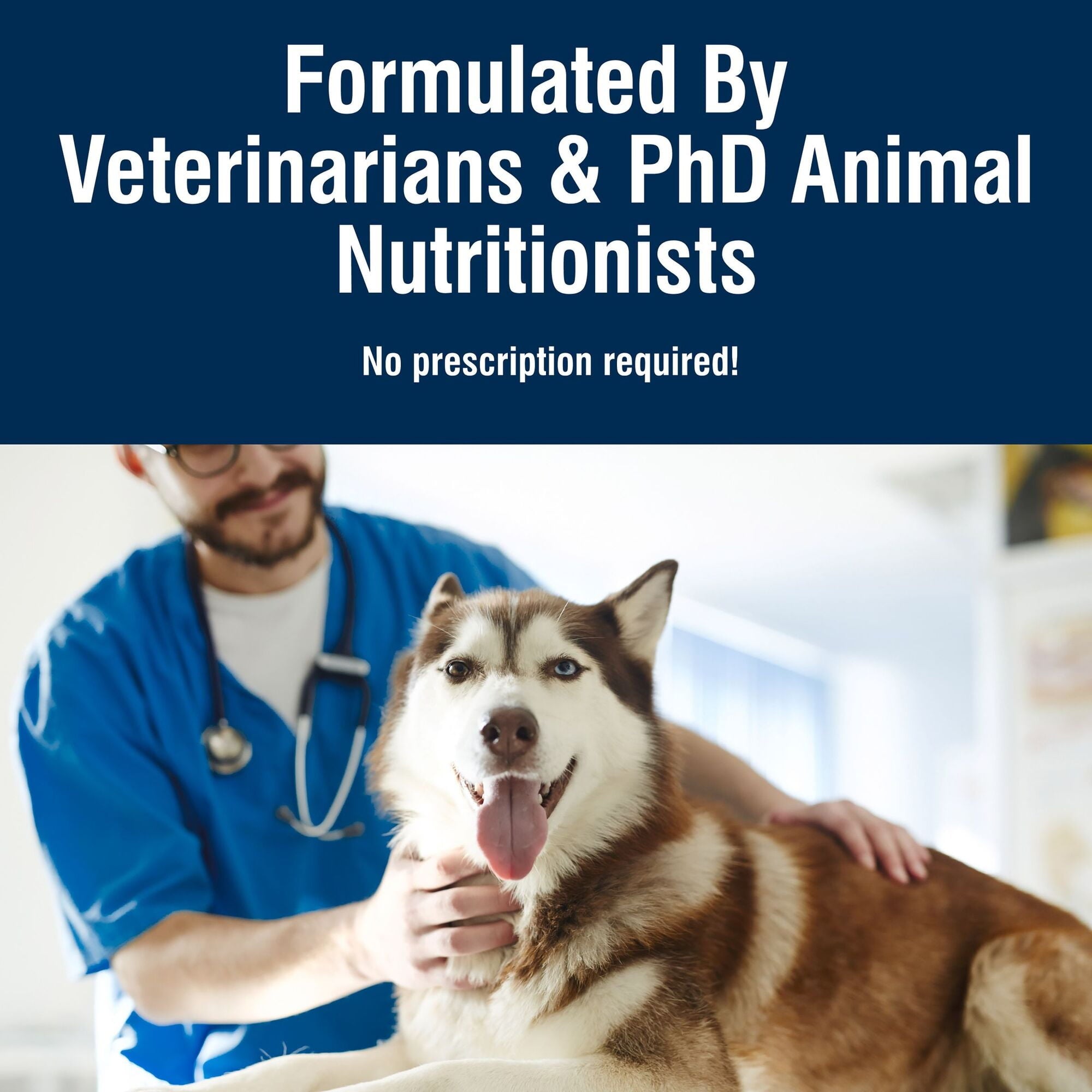 (3 pack) Blue Buffalo True Solutions Active Dog Wet Dog Food, 12.5-oz. Can