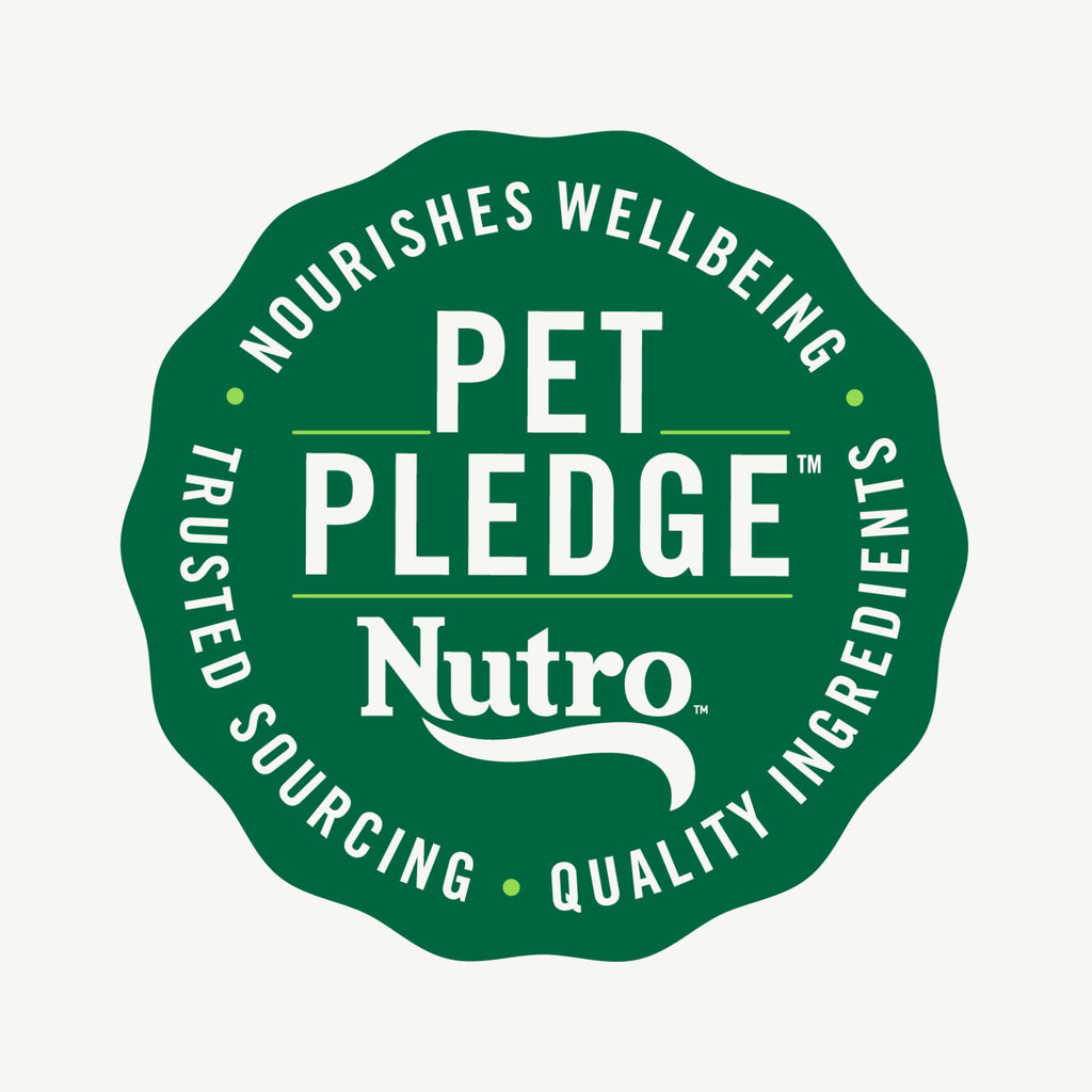 Nutro Natural Choice Cuts In Gravy Chicken Turkey Variety Pack Wet Dog Food, 3.5 Oz Tray Pack Of 12