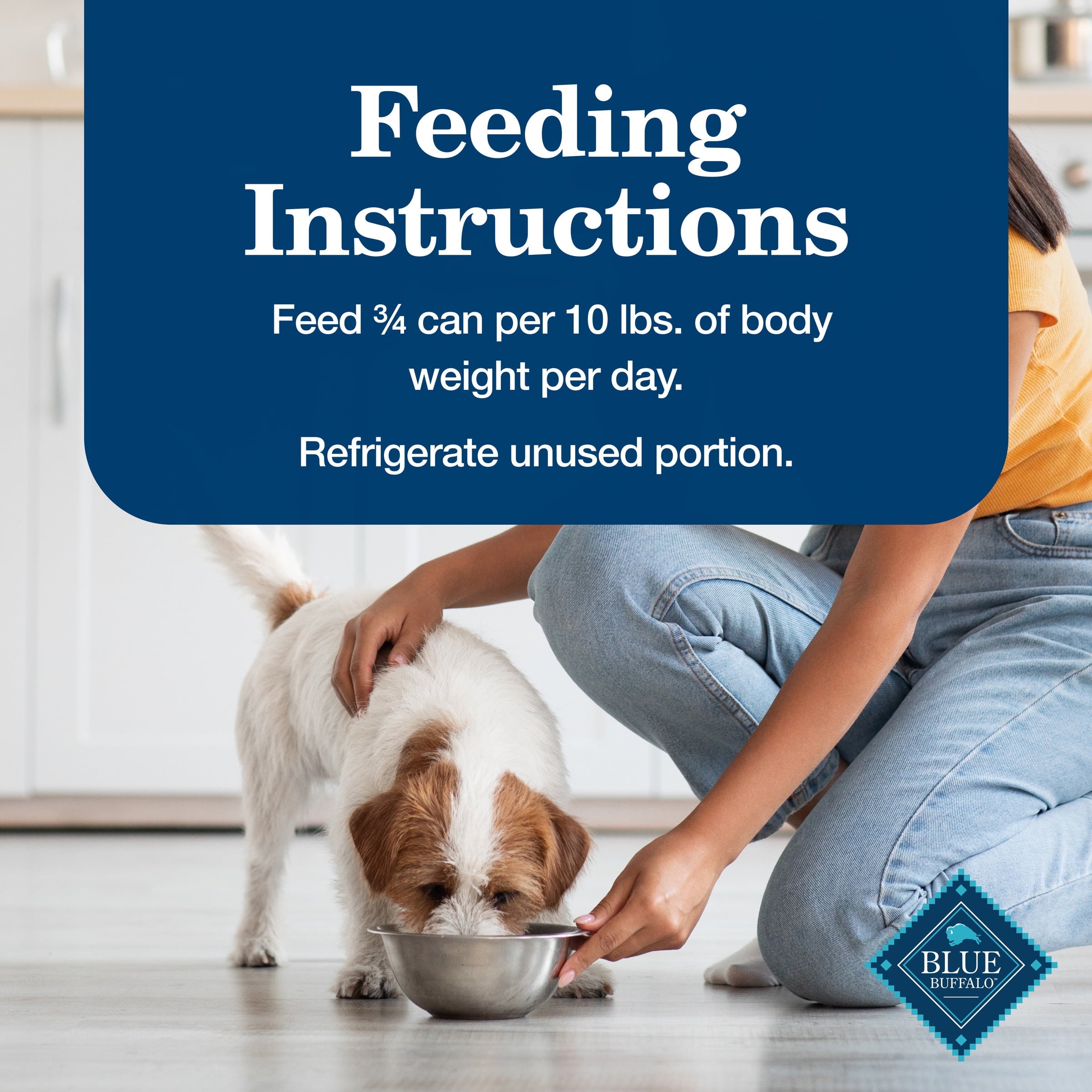 (3 pack) Blue Buffalo Homestyle Recipe Senior Wet Dog Food, Chicken Dinner, 12.5-oz. Can