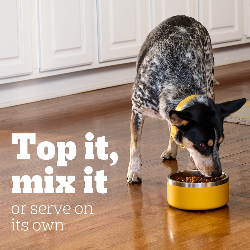 Pedigree Chopped Ground Dinner Dog Food Bacon Filet Mignon Variety Pack, 3.5 Oz. Pouches (18 Pack)