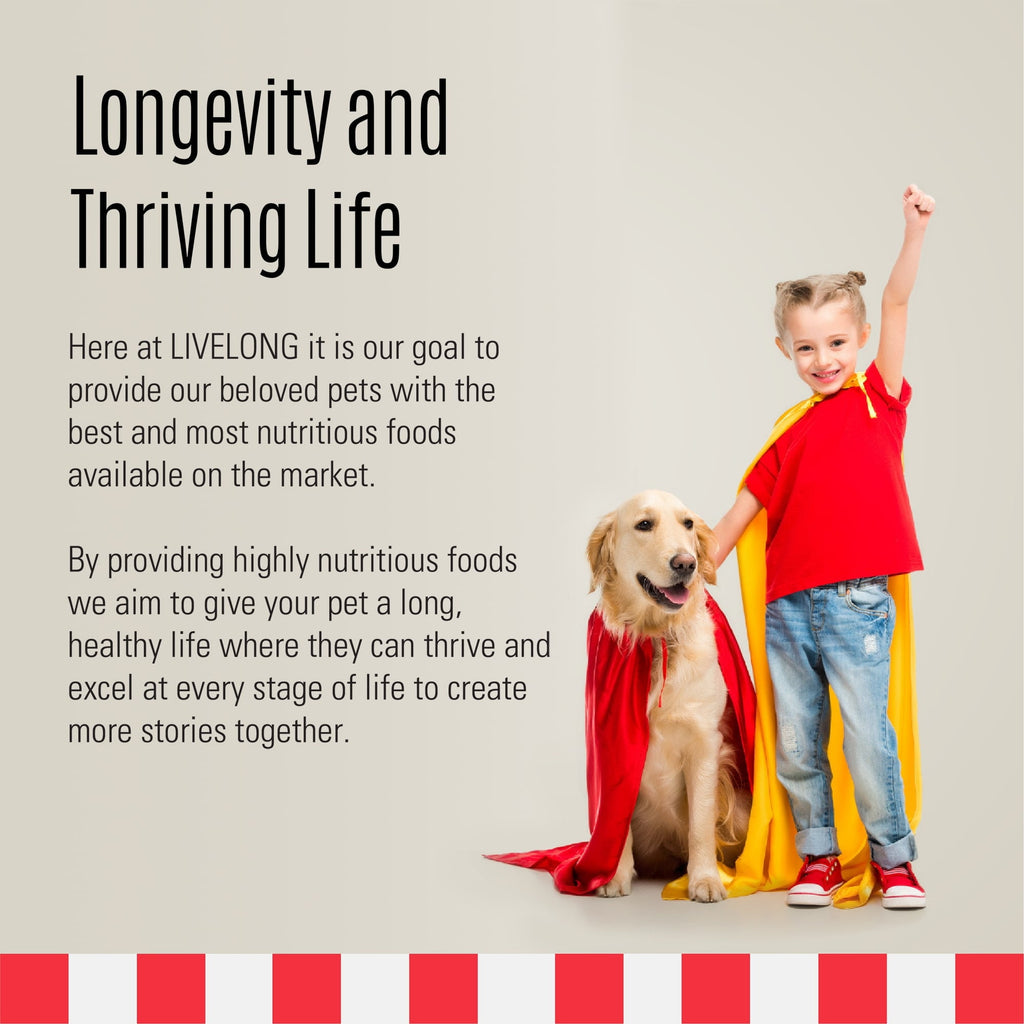 Livelong Healthy & Strong: 12 Pack: Stages Puppy - Chicken Meat, 12.5oz Cans, Wet Dog Food, High Protein, All Natural, No Preservatives,